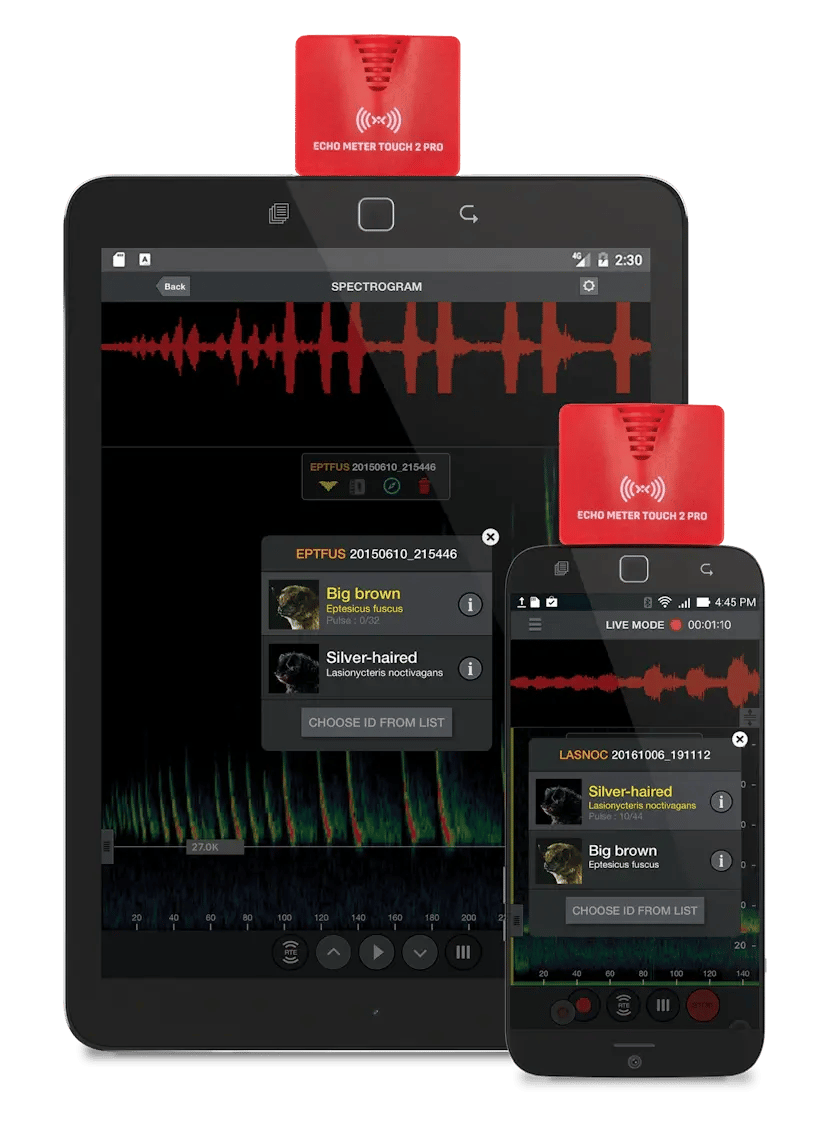 Echo Meter Touch 2 (EMT 2) shown with Bat Auto-ID on smartphone and tablet.