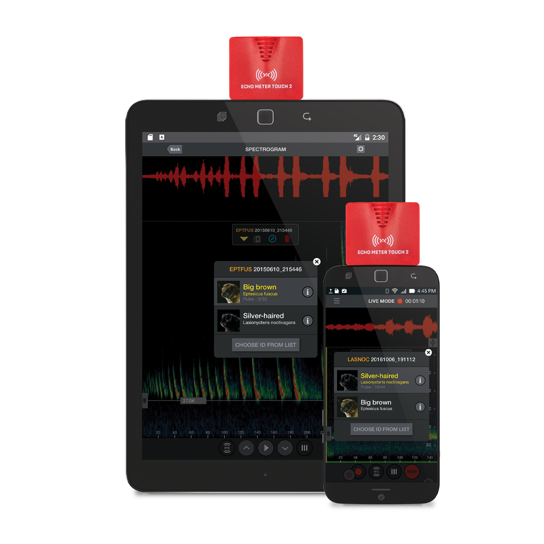 Pictured: Wildlife Acoustics Echo Meter Touch 2 Bat Detector Shown With Android Phone and Tablet