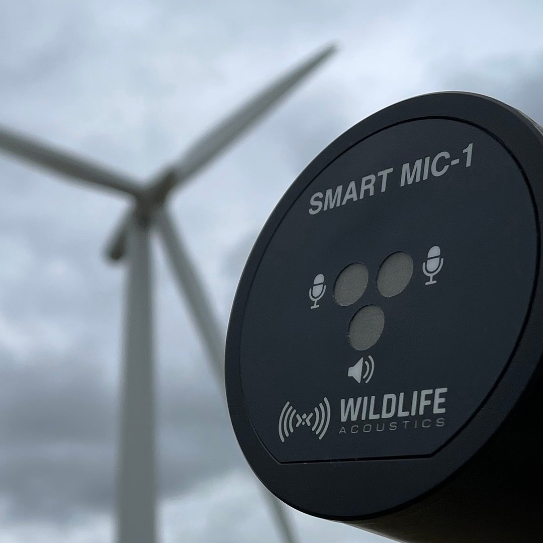 Wildlife Acoustics SMART System for Reducing Bat Fatalities at Wind Farms