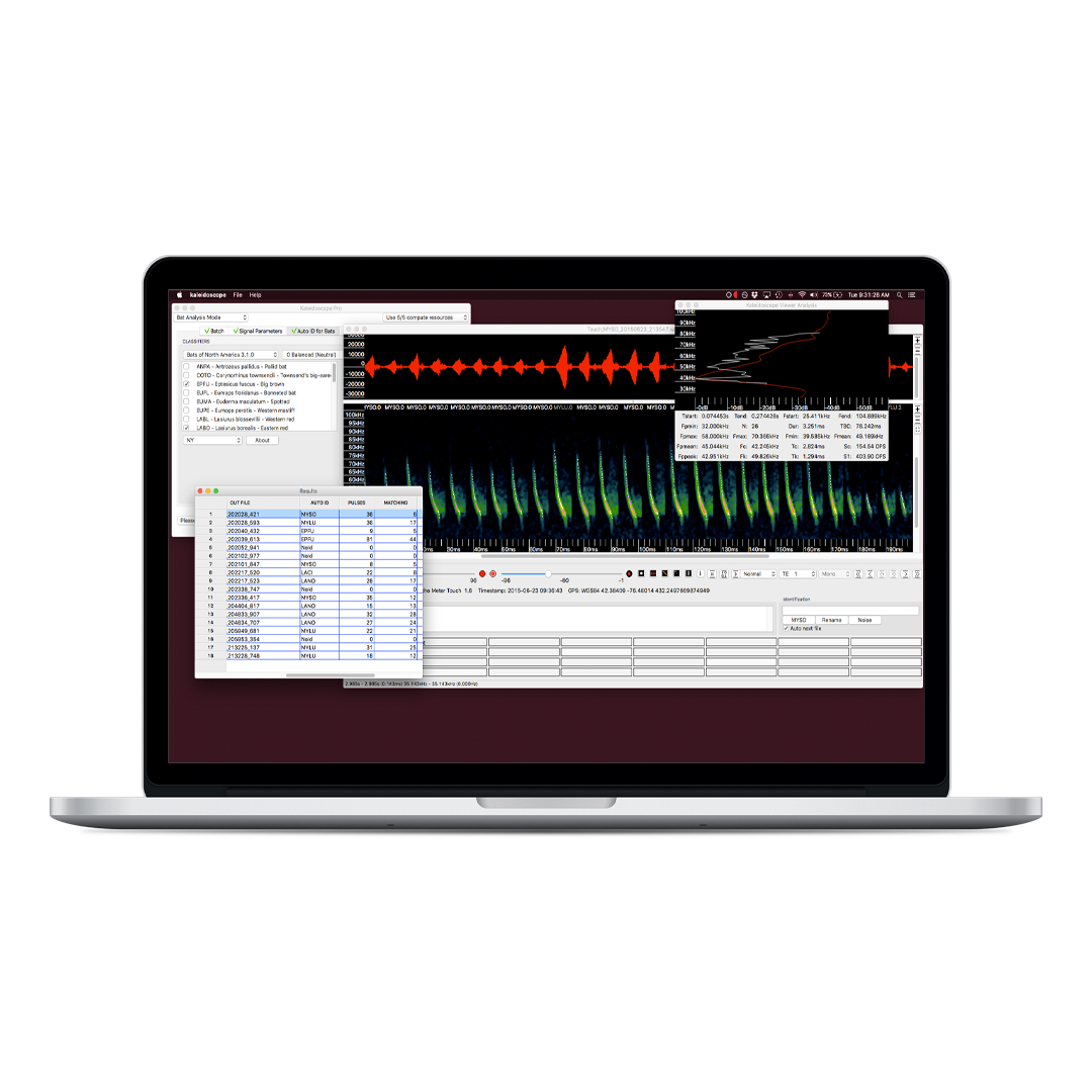 Pictured: Wildlife Acoustics Kaleidoscope Pro Sound Analysis Software for Use with Song Meter Recorders