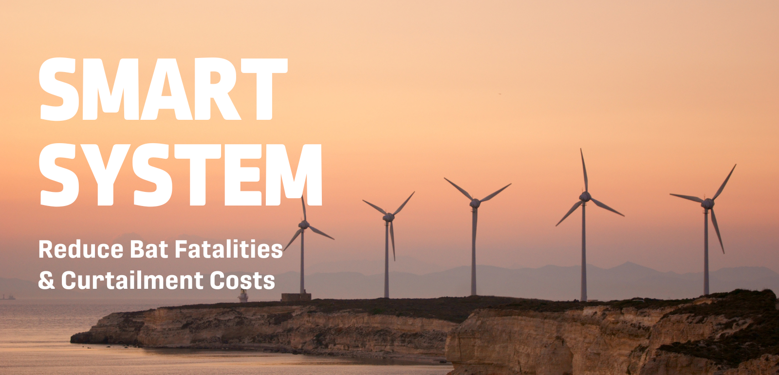 Reduce Bat Fatalities and Curtailment Costs with SMART